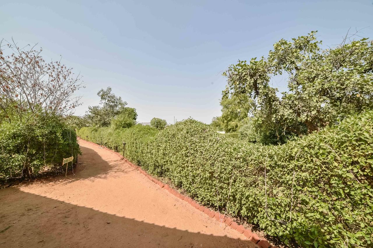 Pushkar Rajwara Resort Eksteriør billede